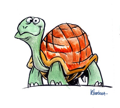 ANATOMIA INTERNA DE UMA TARTARUGA