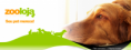 ZOO Loja Pet Shop